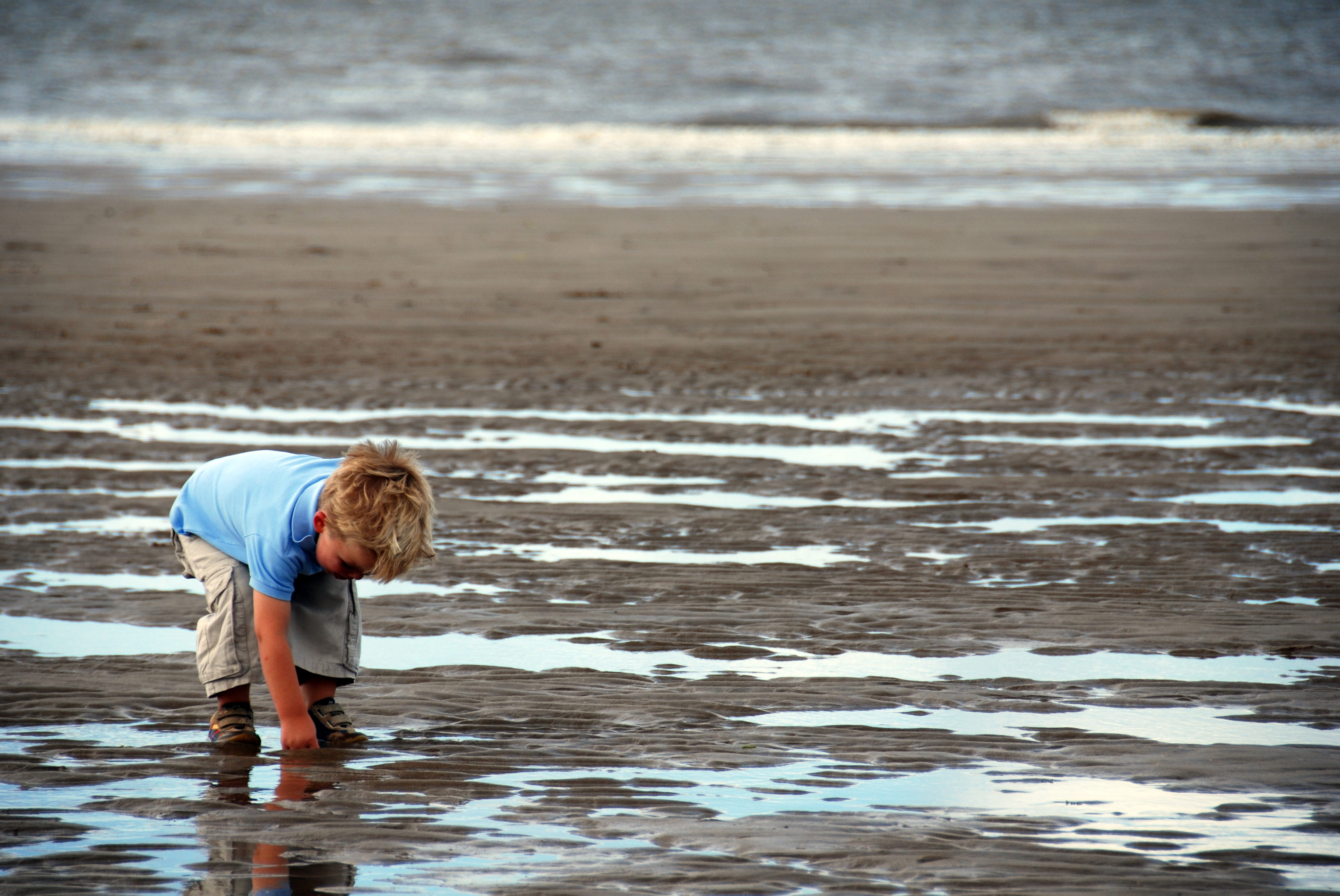 Suche am Strand